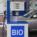 Biopaliwo a oszczędności. Czy warto je tankować?