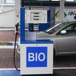 Biopaliwo to ślepy zaułek. Już brakuje surowca