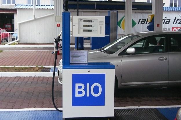 Biopaliwo to ślepy zaułek /INTERIA.PL