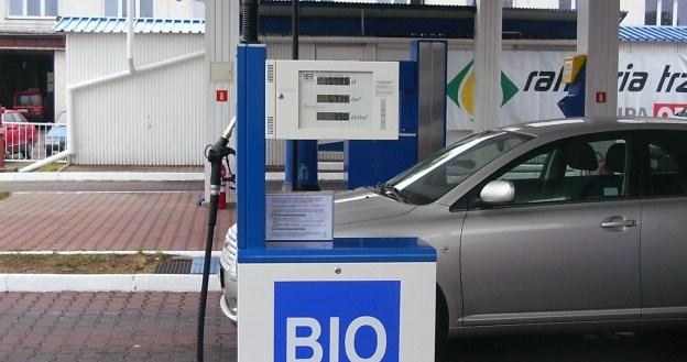 Biopaliwo to ślepy zaułek /INTERIA.PL