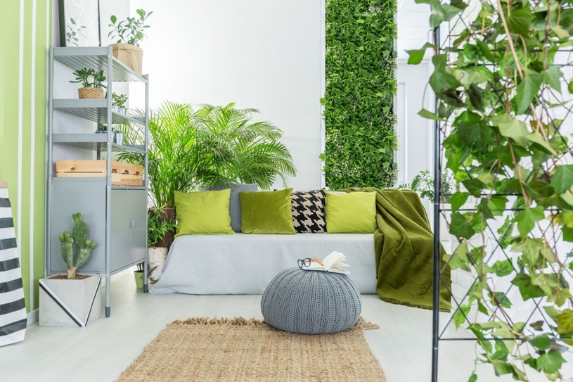 Biophilic design, czyli projektowanie biofiliczne, nie jest trendem, a raczej ruchem /123RF/PICSEL