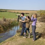 Birdwatching podbija pokolenie Z. To nowy sposób na odpoczynek od smartfonów