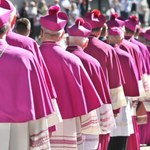 Biskupi zachęcają do udziału w wyborach do PE