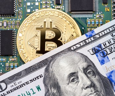 Bitcoin budzi się jesienią. Nowe prognozy dla pierwszej kryptowaluty świata