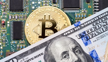 Bitcoin budzi się jesienią. Nowe prognozy dla pierwszej kryptowaluty świata