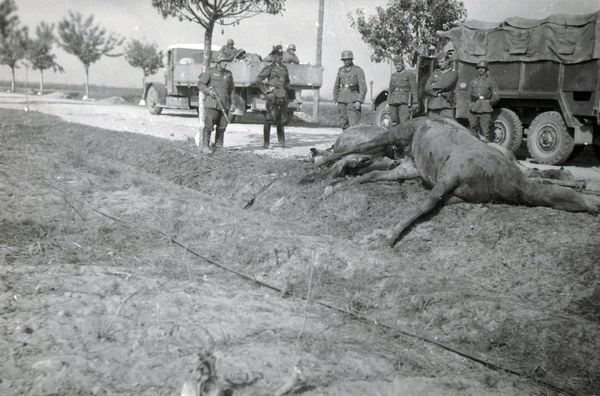 Bitwa Nad Bzurą - Zdj.14 - Nowahistoria.interia.pl