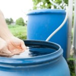 Biurokracja w ogrodzie. Będą restrykcje w użyciu deszczówki