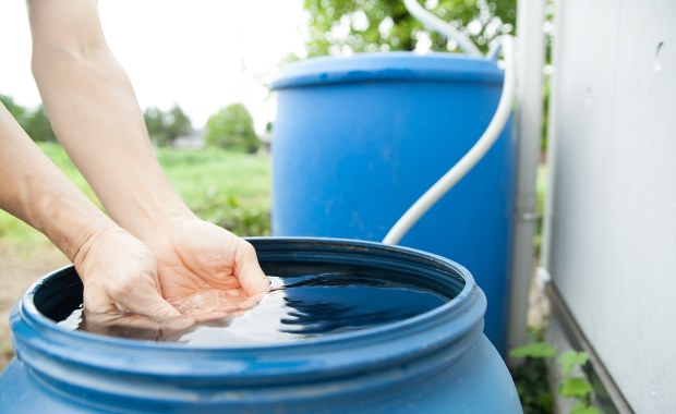 Biurokracja w ogrodzie. Będą restrykcje w użyciu deszczówki