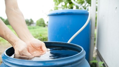 Biurokracja w ogrodzie. Będą restrykcje w użyciu deszczówki