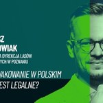 Biwak w lesie i ognisko. Nielegalne czy zupełnie w porządku?