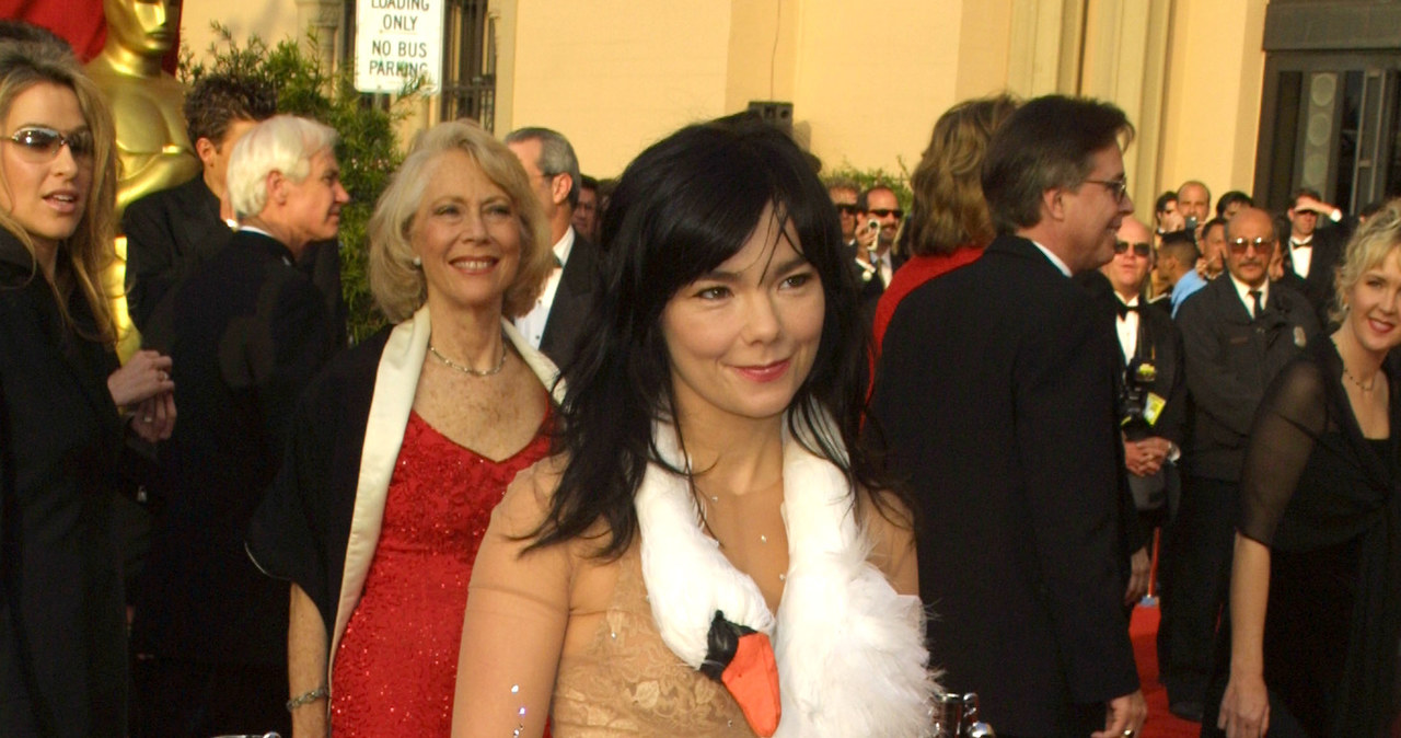 Bjork w sukni-łabędziu /Getty Images