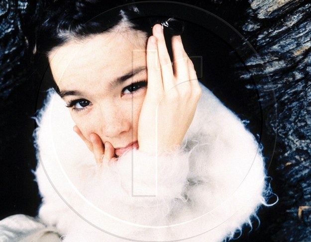 Björk /Youri Lenquette /PAP/EPA