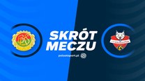 BKS Bostik ZGO Bielsko-Biała - Developres Rzeszów. Skrót meczu