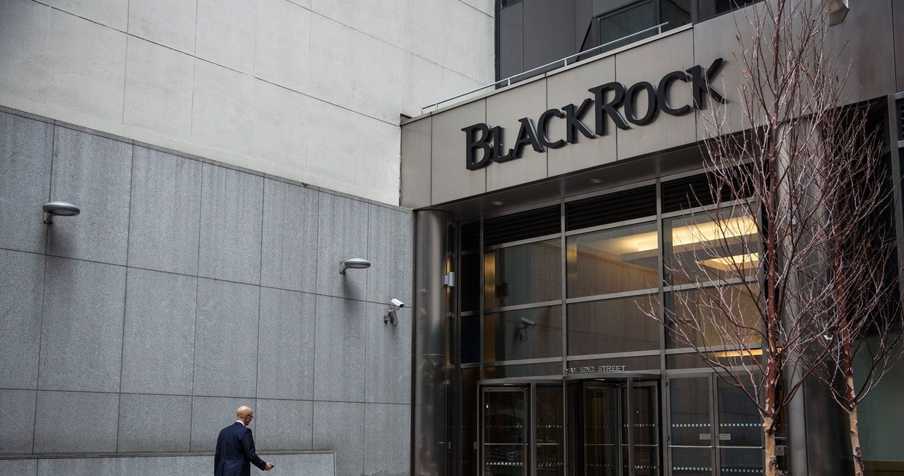BlackRock stracił na rosyjskich akcjach 17 mld dol. /AFP