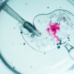 in-vitro Błąd w in vitro. Kobieta urodziła dziecko innej parze