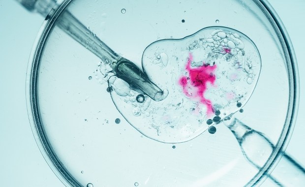 Błąd w in vitro. Kobieta urodziła dziecko innej parze