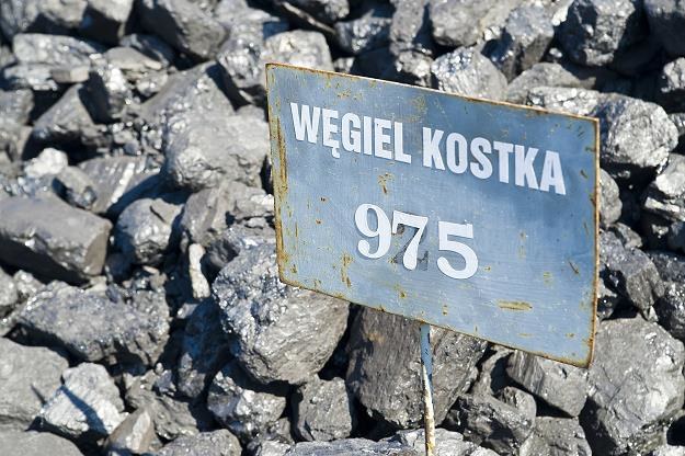 Blady strach padł na sprzedawców węgla... Fot. Stanisław Bielski /Reporter
