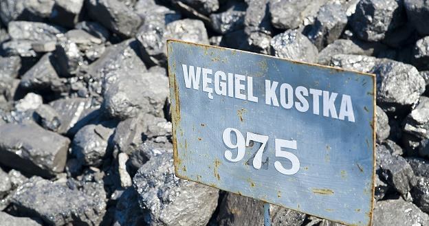 Blady strach padł na sprzedawców węgla... Fot. Stanisław Bielski /Reporter