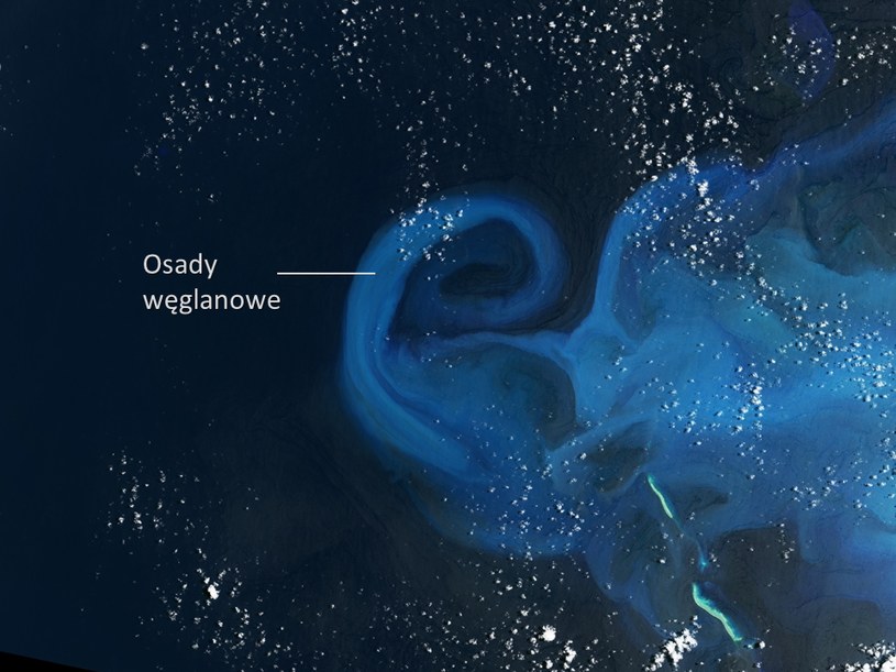 Błękitna plama to wzburzone osady z dna Morza Koralowego /NASA Earth Observatory /NASA