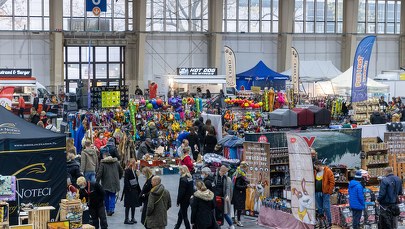 Blisko 7 tys. czworonogów na Międzynarodowych Wystawach Psów Rasowych