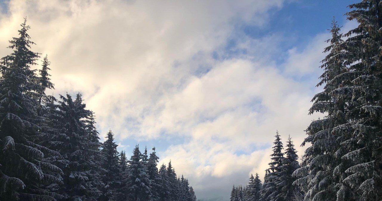 Blisko polskiej granicy znajduje się kilka ośrodków narciarskich. Na zdj.: Kouty nad Desnou /archiwum prywatne