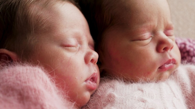 Bliźnięta z dwóch macic to absolutny światowy fenomen/zdjęcie ilustracyjne /123RF/PICSEL