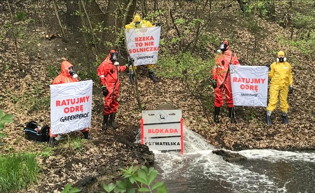 Blokada Greenpeace w Rudzie Śląskiej