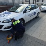 Blokada na kole auta TVP. Kielecka straż miejska nie zna litości