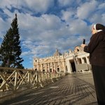 Blokują wycinkę i czuwają przy drzewie. Afera o choinkę dla papieża