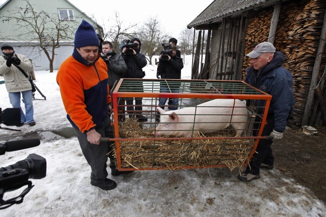 Blondynka podczas przeprowadzki /Artur Reszko /PAP