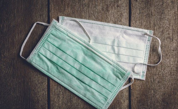 Błonica w Polsce. Sanepid przekazał nowe informacje 