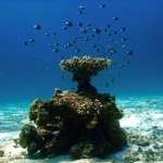 "Bloop" nie był głosem potwora. Ocean naprawdę brzmi coraz dziwniej