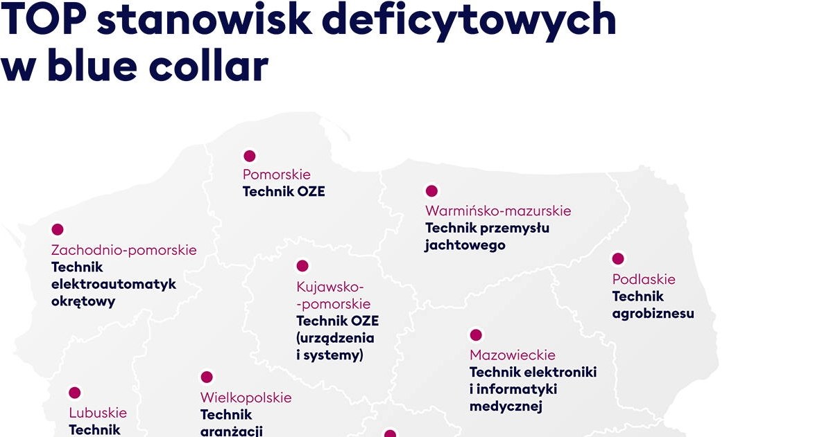 Blue collar: mało ludzi, jeszcze mniej robotów /materiały promocyjne