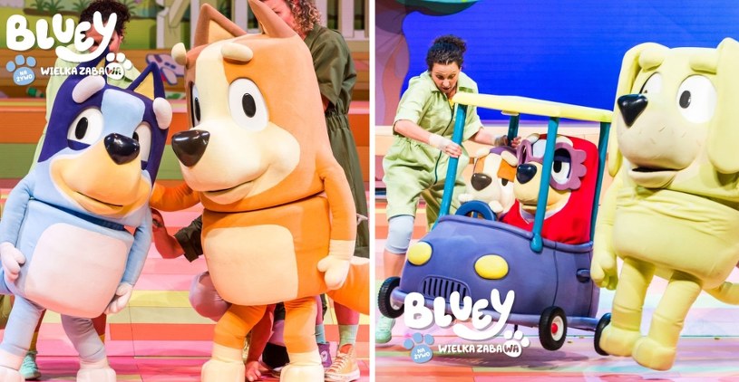 "Bluey - Wielka Zabawa" po raz pierwszy w Polsce