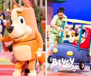 "Bluey - Wielka Zabawa" po raz pierwszy w Polsce