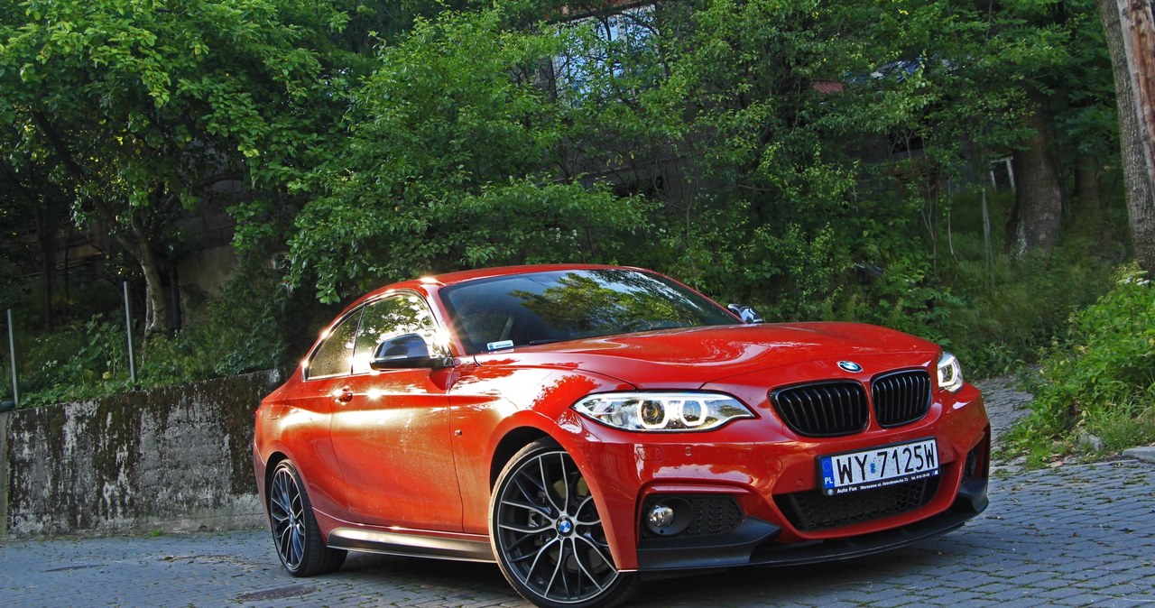 BMW 230i Coupe M Performance /INTERIA.PL