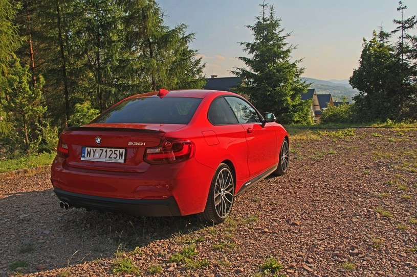 BMW 230i Coupe M Performance /INTERIA.PL