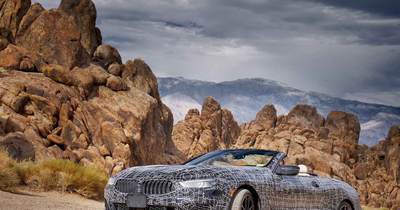 BMW 8 Cabrio /Informacja prasowa