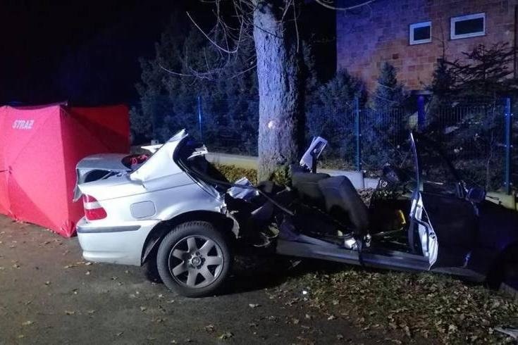 BMW uderzyło w drzewo /Policja