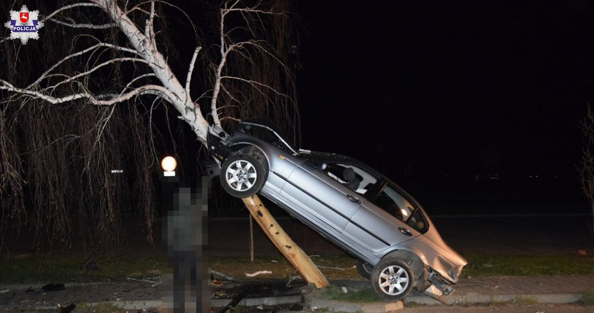 BMW wjechało... na drzewo /Informacja prasowa