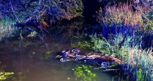 BMW wpadło do rzeki. Nie żyje 23-latek