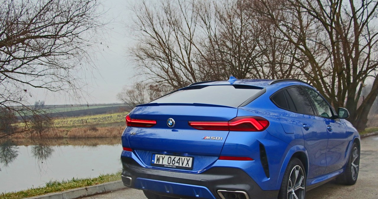 BMW X6 M50i /INTERIA.PL