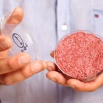 BNP Paribas Food & Agri: Substytuty mięsa przemodelują rynek spożywczy