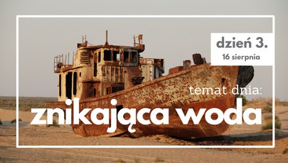 BNP Paribas Green Film Festival potrwa do 21 sierpnia. /Materiały promocyjne