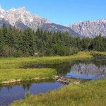 Bobry mogą pomóc w zwalczaniu skutków zmian klimatu. Wystarczy przenieść je w górny odcinek rzeki