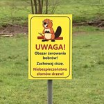 Bobry zagościły w Górach Stołowych