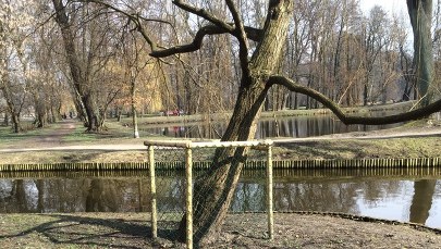 Bobry znów zaatakowały w Pruszkowie. Ekolodzy alarmują: To może mieć poważne skutki