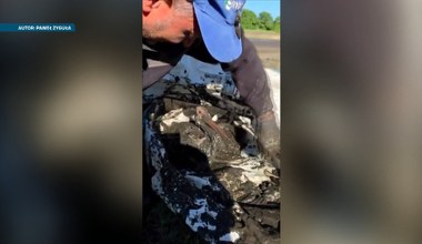 Bocian czarny utknął w pułapce. Zatrzymał go wyschnięty staw