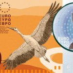 banknoty Bocian kontra Maria Skłodowska-Curie - taki wybór daje Unia Europejska