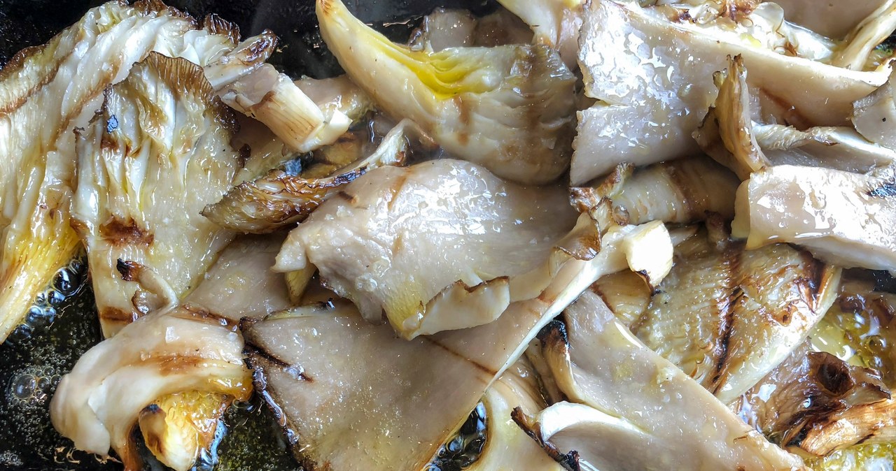 Boczniaki to smaczne grzyby z dużą ilością białka i minerałów /bbbrrn /123RF/PICSEL
